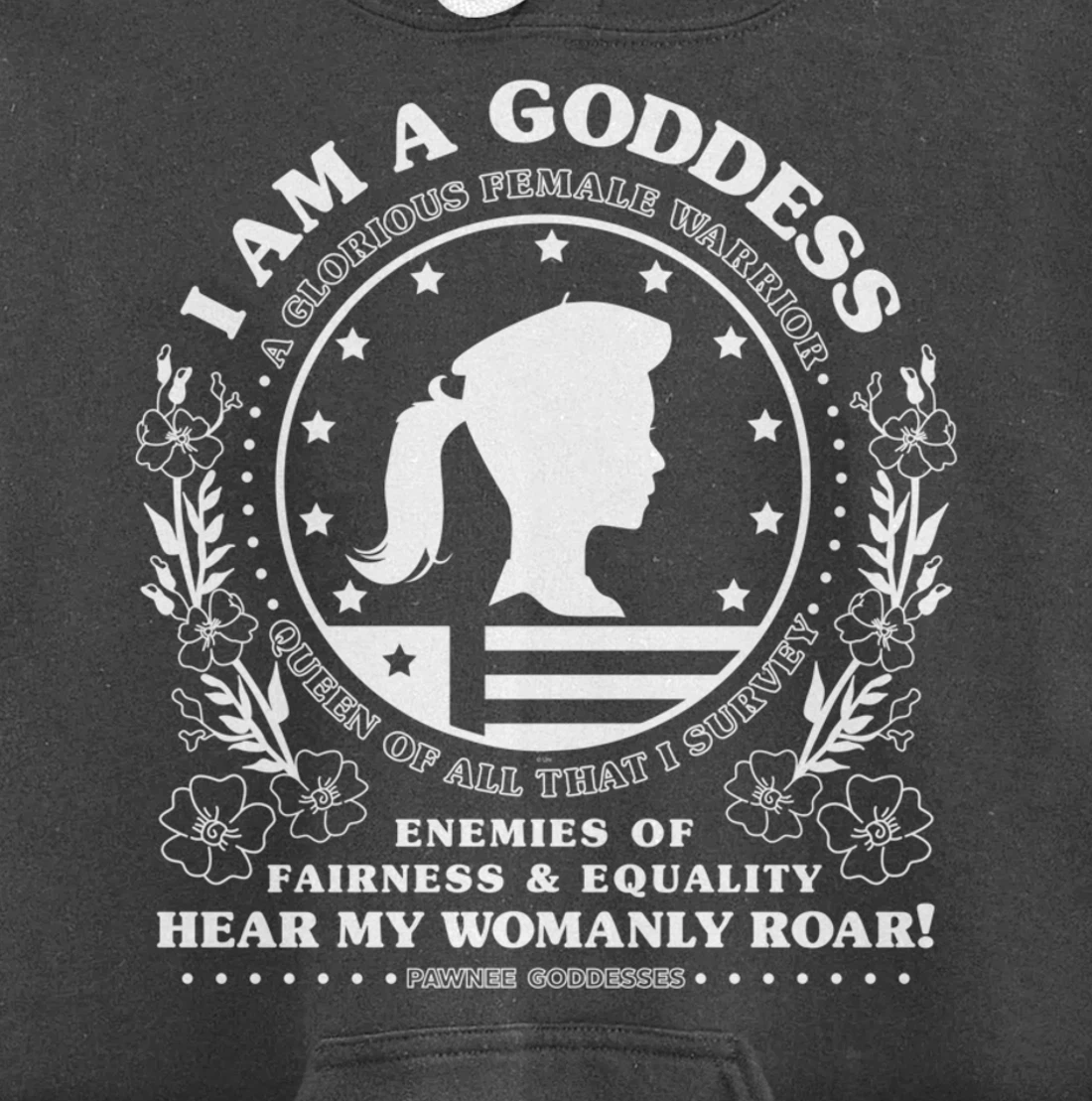 Parks & Recreation Pawnee Goddesses Pledge Pullover Hoodie