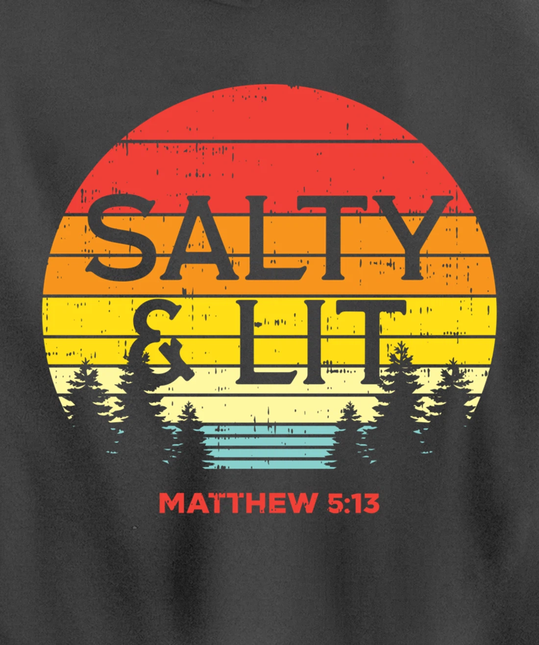 Salty And Lit Matthew 5 13 Bible God Jesus Christian Gift Pullover Hoodie