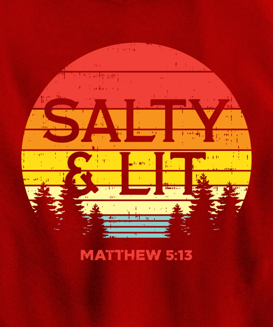 Salty And Lit Matthew 5 13 Bible God Jesus Christian Gift Pullover Hoodie