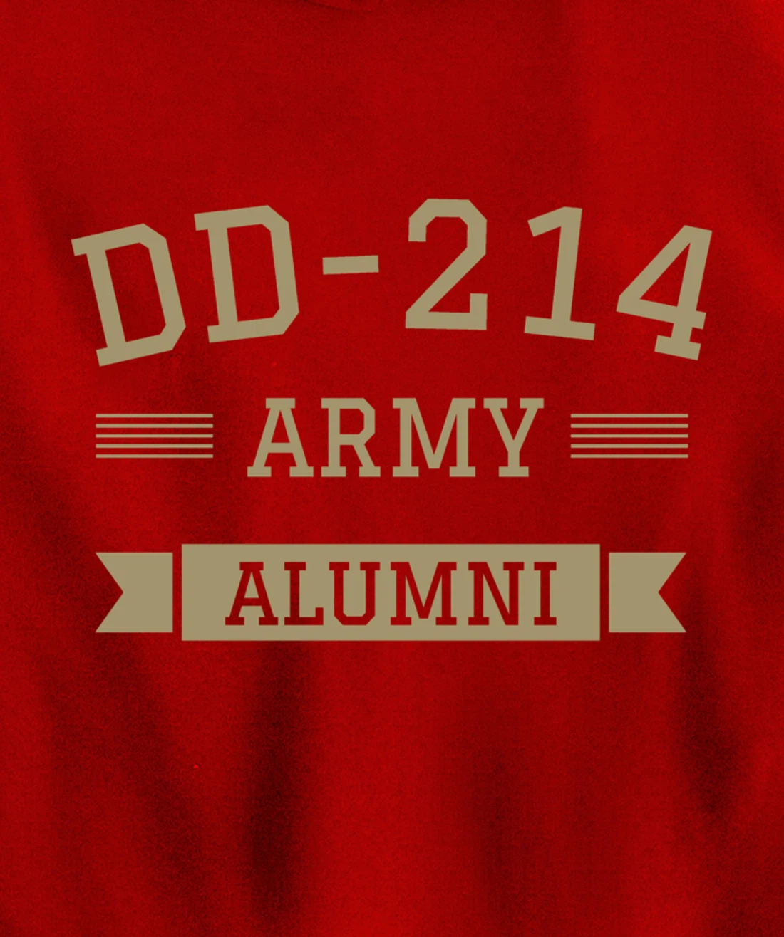 DD-214 US Army Alumni Military Veteran Retirement Gift Pullover Hoodie