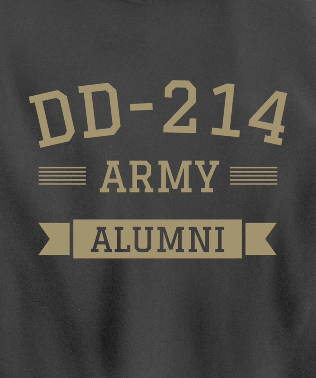 DD-214 US Army Alumni Military Veteran Retirement Gift Pullover Hoodie