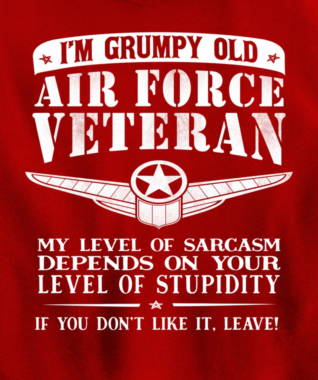 I'm a Grumpy Old Air Force Veteran Funny Men Gift Pullover Hoodie