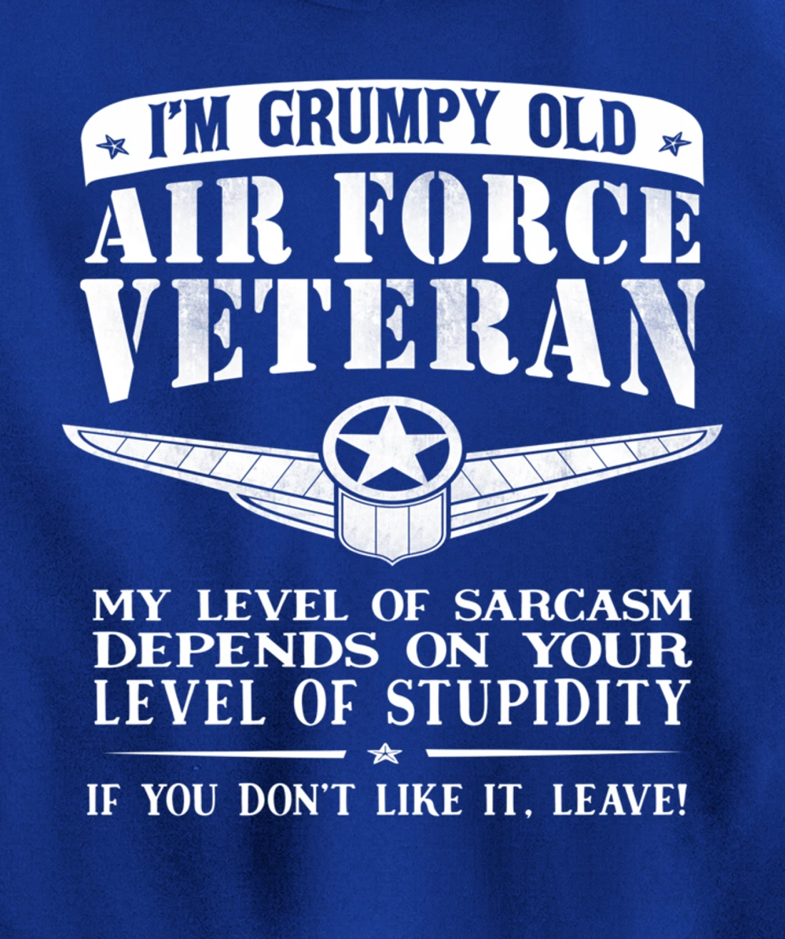 I'm a Grumpy Old Air Force Veteran Funny Men Gift Pullover Hoodie