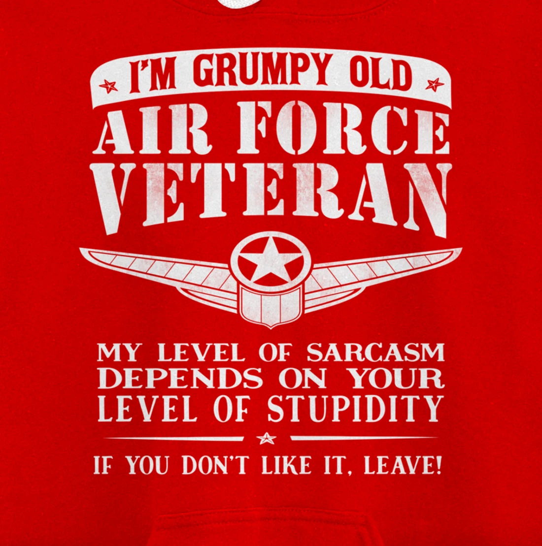 I'm a Grumpy Old Air Force Veteran Funny Men Gift Pullover Hoodie