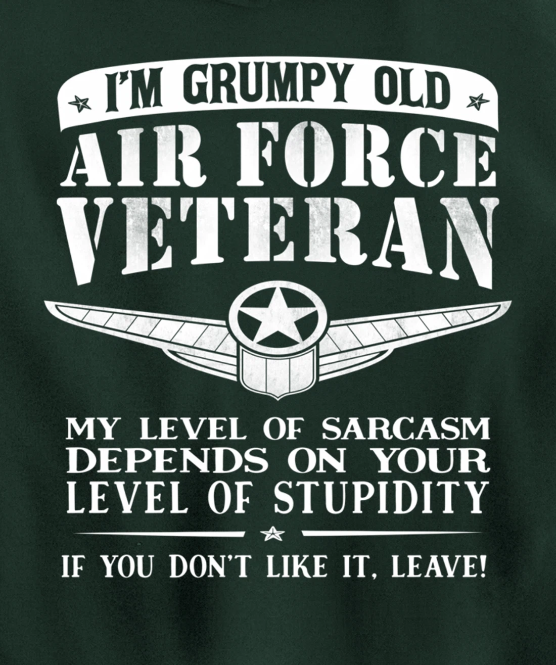 I'm a Grumpy Old Air Force Veteran Funny Men Gift Pullover Hoodie
