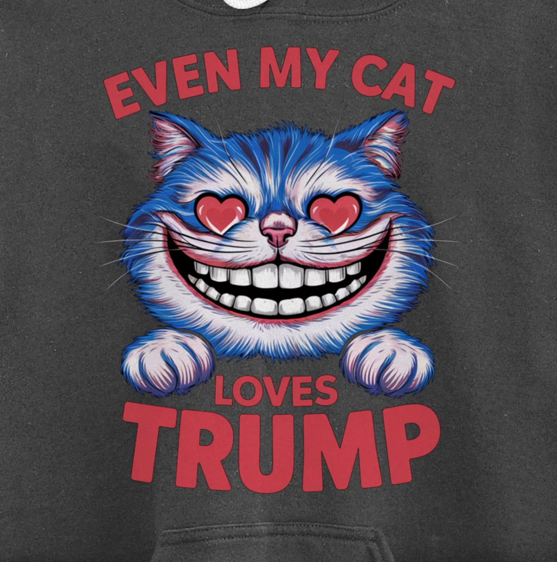 Even My Cat Loves Trump 2024 Trump 2024 supporter Pullover Hoodie