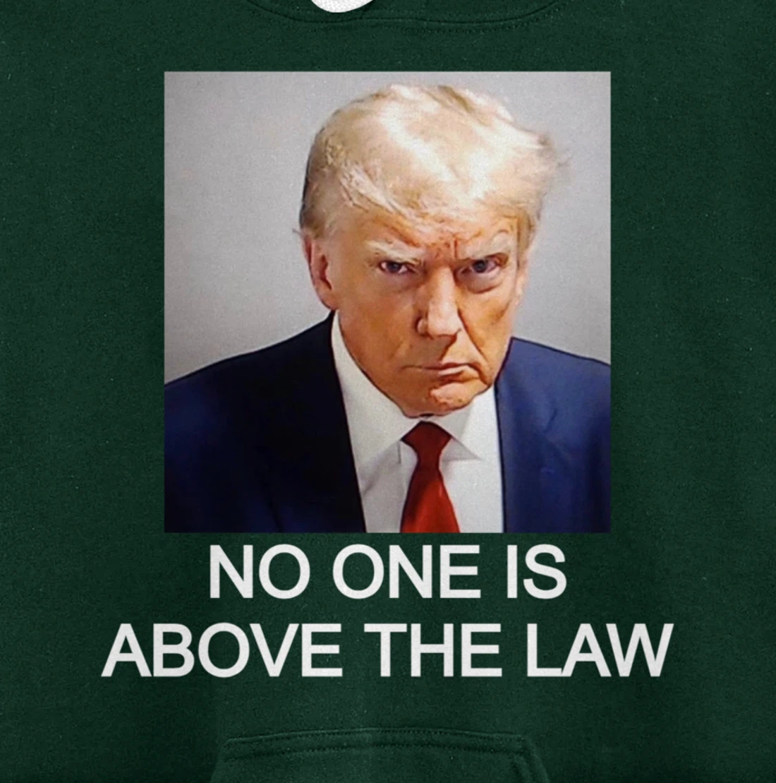 Trump Mugshot No One Is Above The Law Pullover Hoodie
