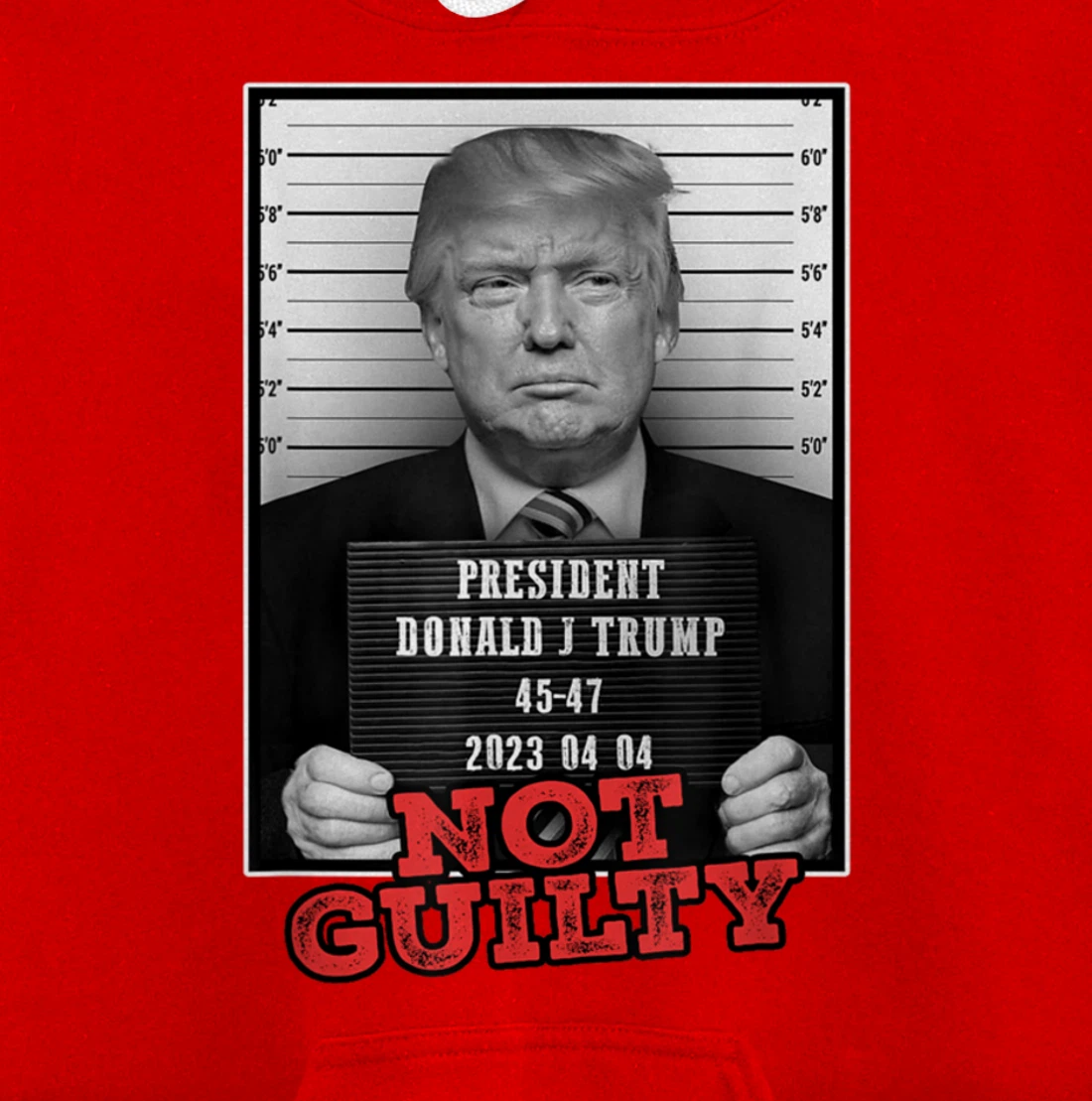 Funny Donald Trump Not Guilty Mug Shot, Free Trump 2024 Pullover Hoodie