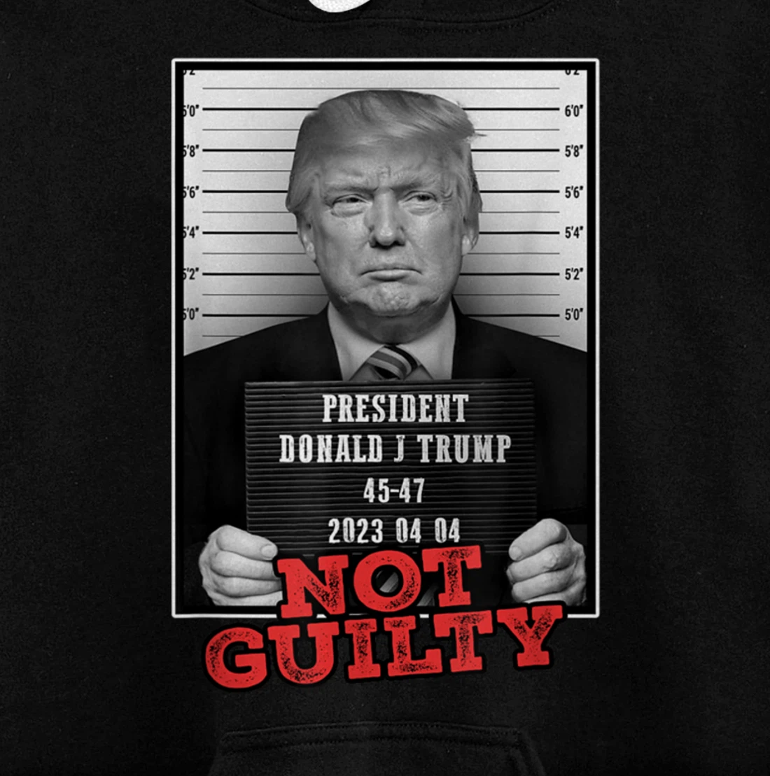 Funny Donald Trump Not Guilty Mug Shot, Free Trump 2024 Pullover Hoodie