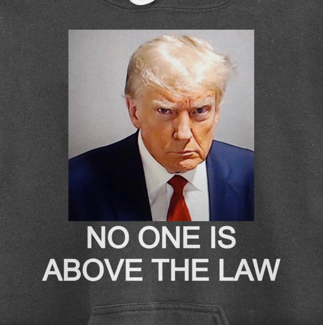 Trump Mugshot No One Is Above The Law Pullover Hoodie