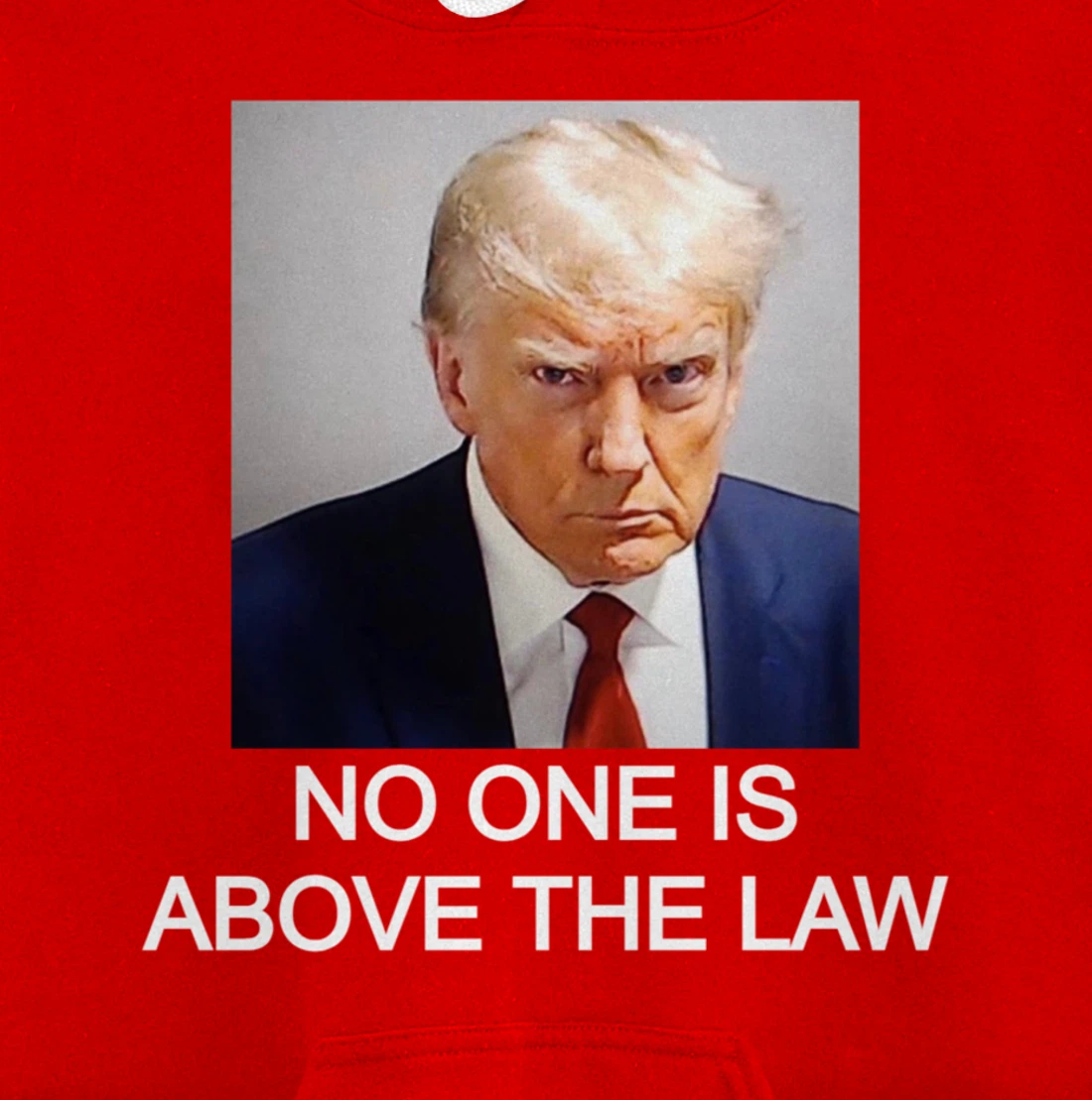 Trump Mugshot No One Is Above The Law Pullover Hoodie