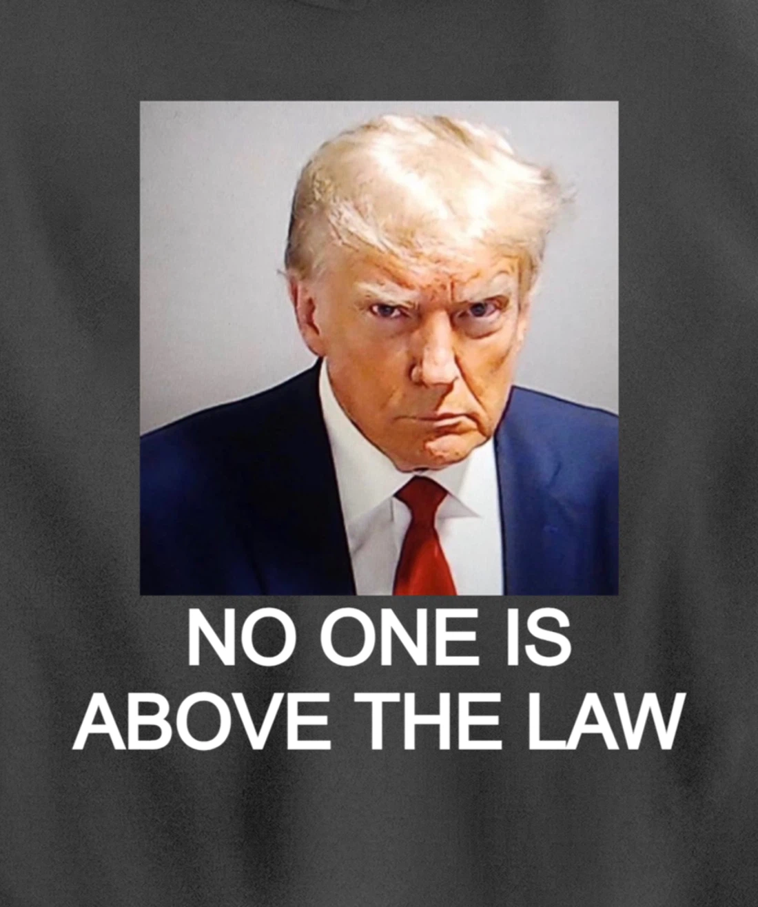 Trump Mugshot No One Is Above The Law Pullover Hoodie