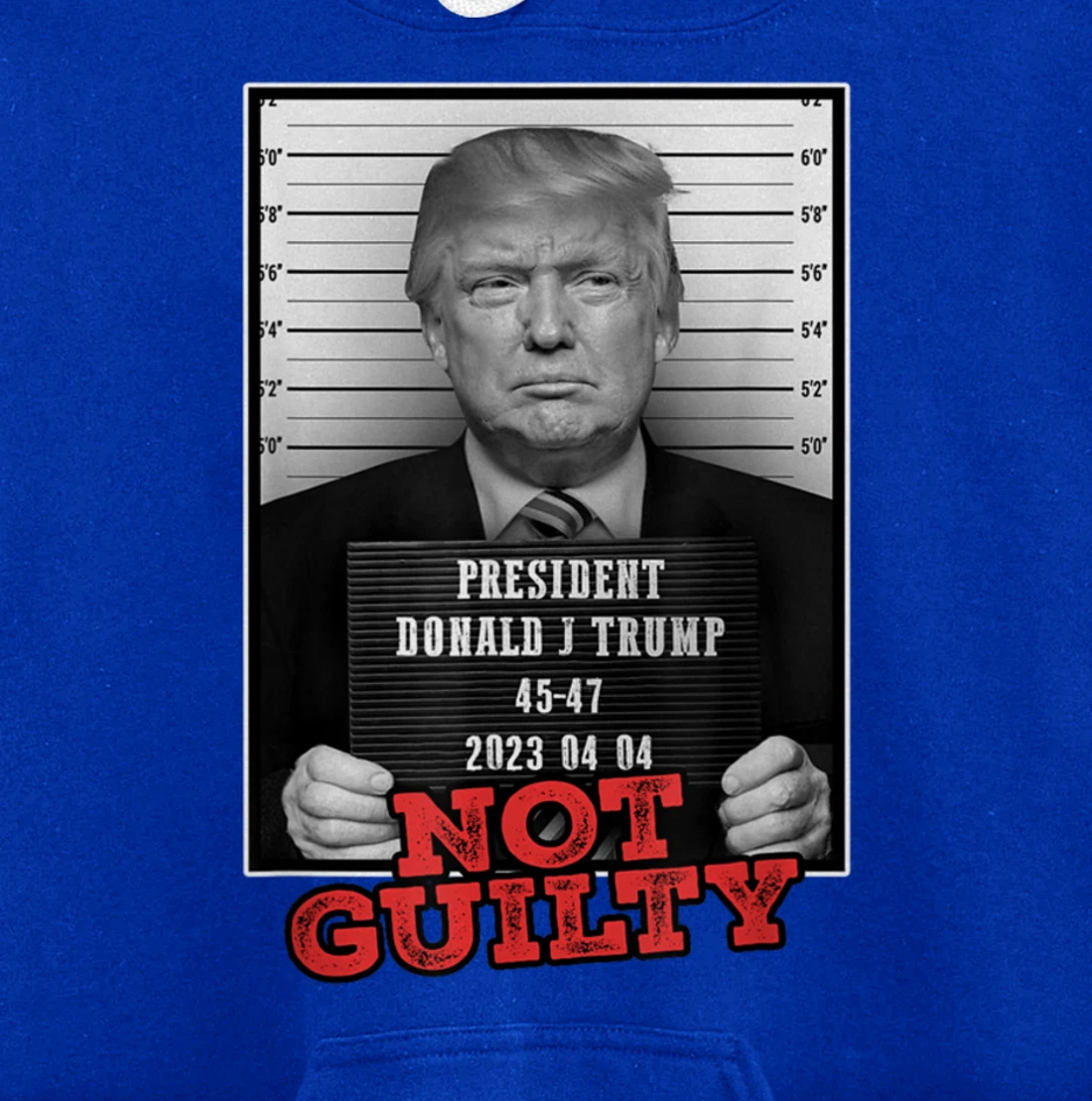 Funny Donald Trump Not Guilty Mug Shot, Free Trump 2024 Pullover Hoodie