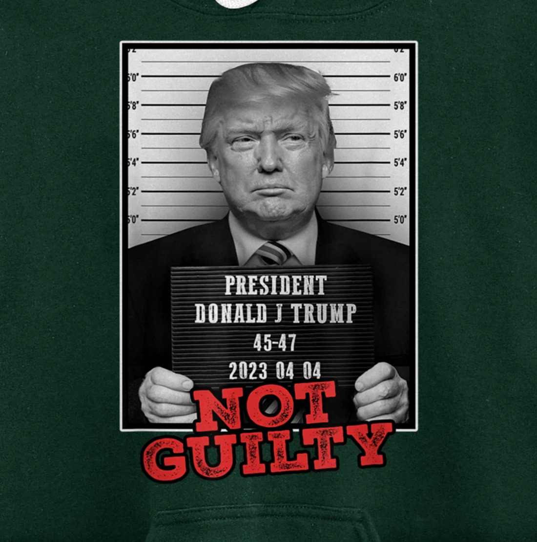 Funny Donald Trump Not Guilty Mug Shot, Free Trump 2024 Pullover Hoodie