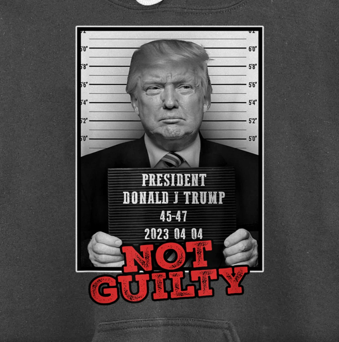 Funny Donald Trump Not Guilty Mug Shot, Free Trump 2024 Pullover Hoodie