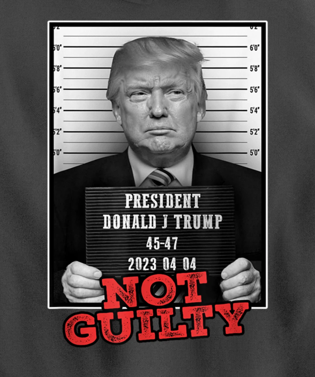 Funny Donald Trump Not Guilty Mug Shot, Free Trump 2024 Pullover Hoodie