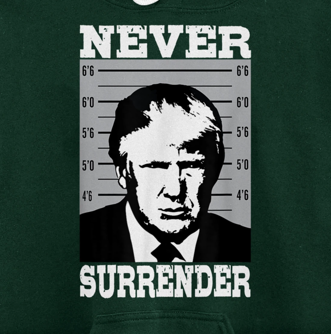Donald Trump Never Surrender Trump Pro Trump mugshot Pullover Hoodie