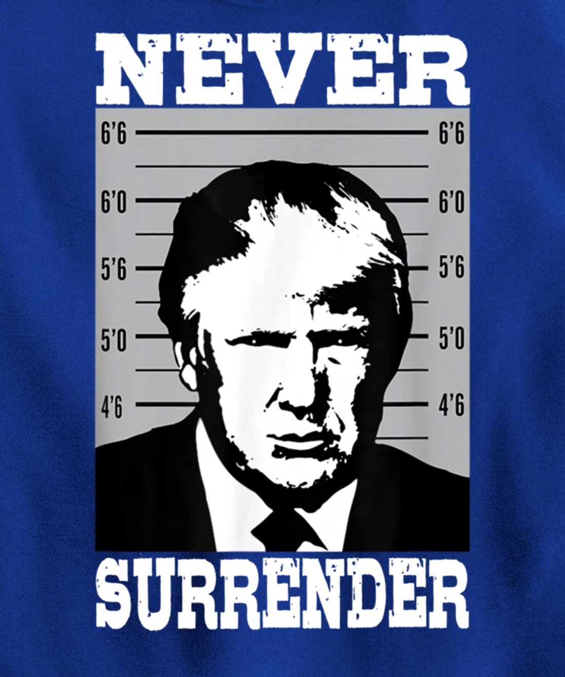 Donald Trump Never Surrender Trump Pro Trump mugshot Pullover Hoodie