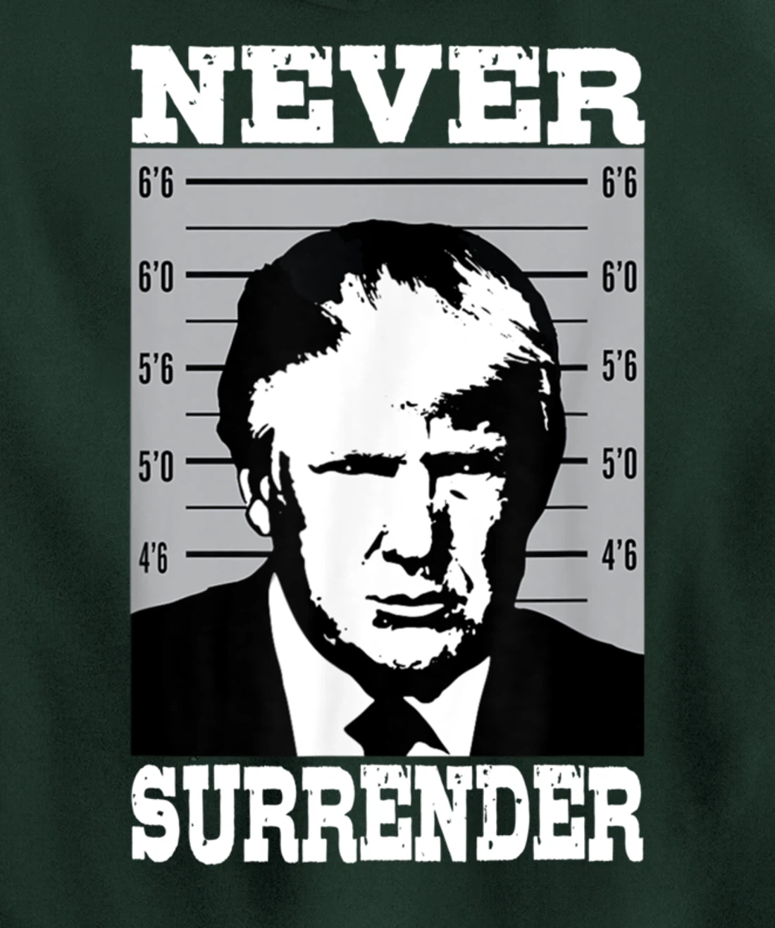 Donald Trump Never Surrender Trump Pro Trump mugshot Pullover Hoodie