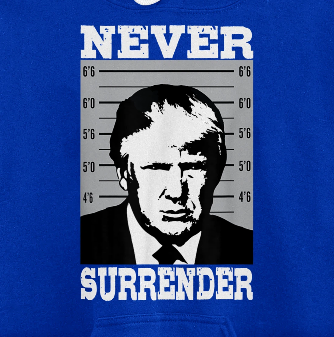 Donald Trump Never Surrender Trump Pro Trump mugshot Pullover Hoodie