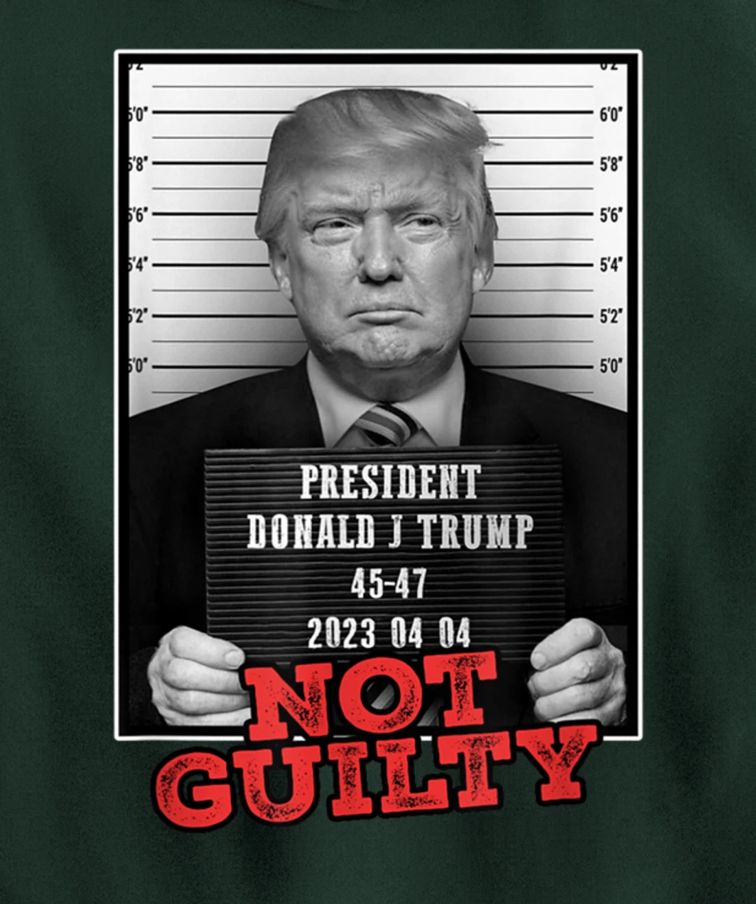 Funny Donald Trump Not Guilty Mug Shot, Free Trump 2024 Pullover Hoodie