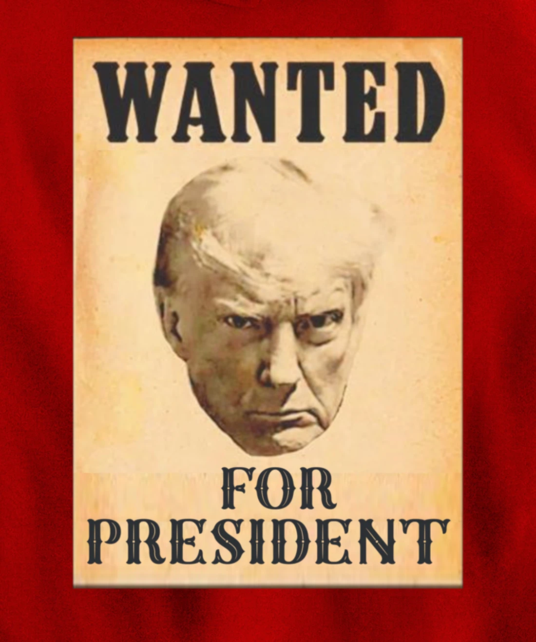 Wanted Donald Trump For President 2024 Pullover Hoodie