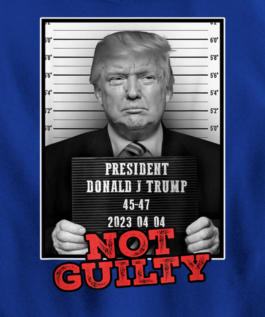 Funny Donald Trump Not Guilty Mug Shot, Free Trump 2024 Pullover Hoodie