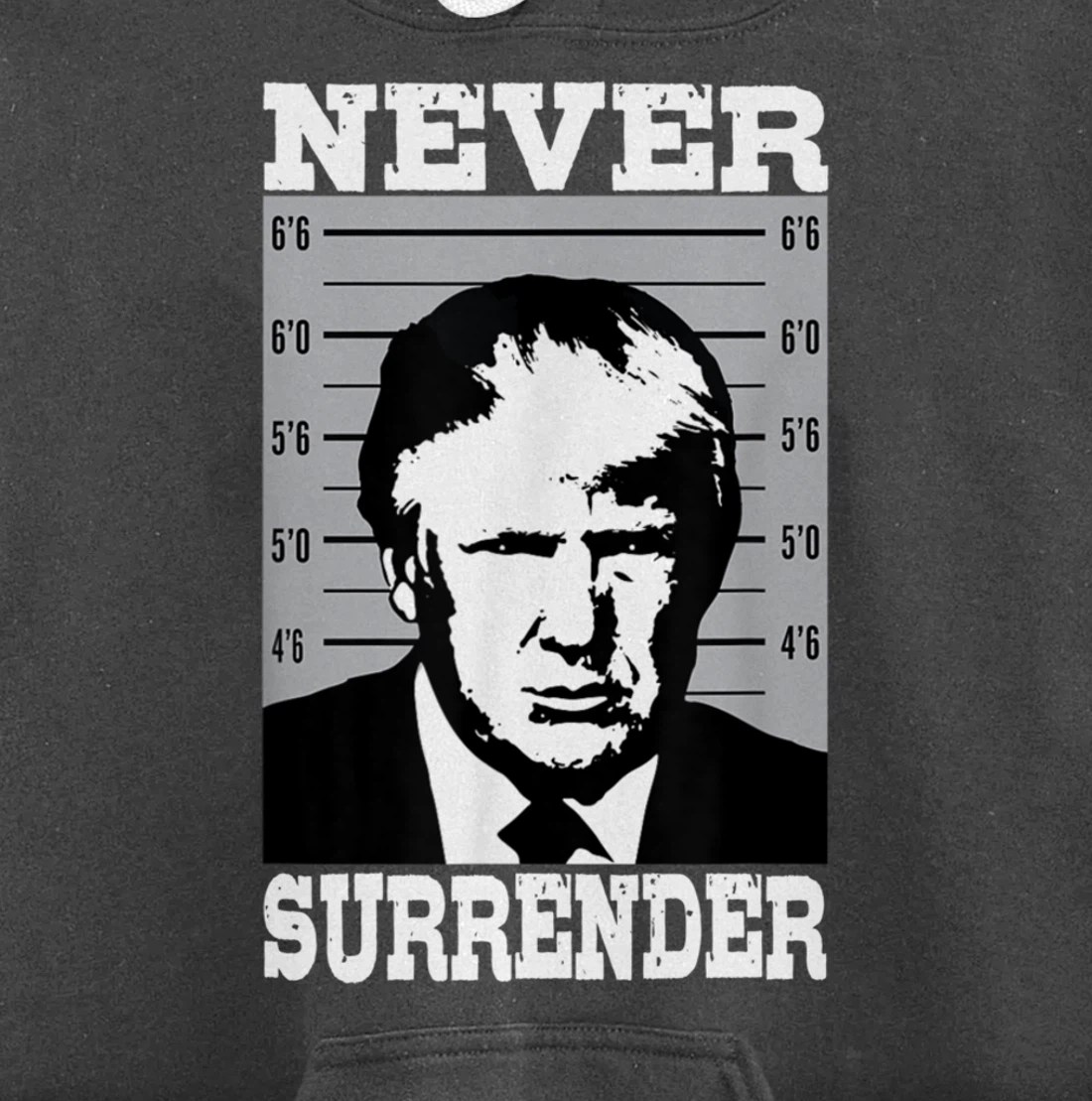 Donald Trump Never Surrender Trump Pro Trump mugshot Pullover Hoodie