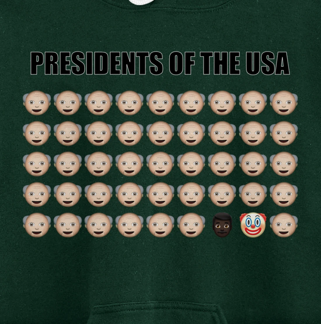Presidents of the USA Biden 46. President Trump Clown Funny Pullover Hoodie