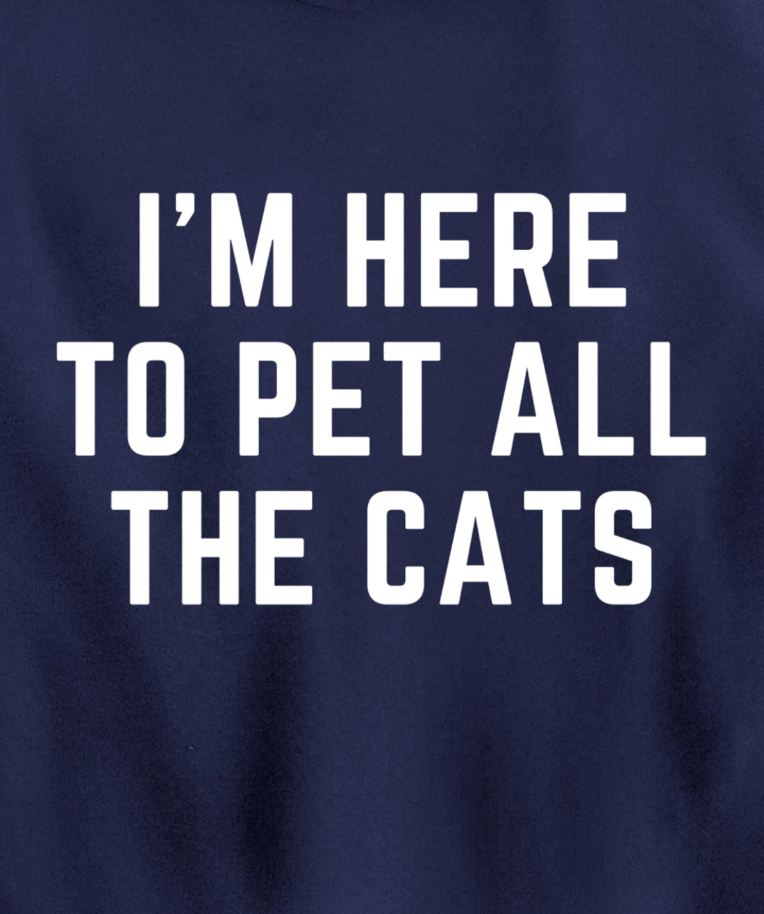 I'm Here to Pet All the Cats Pullover Hoodie