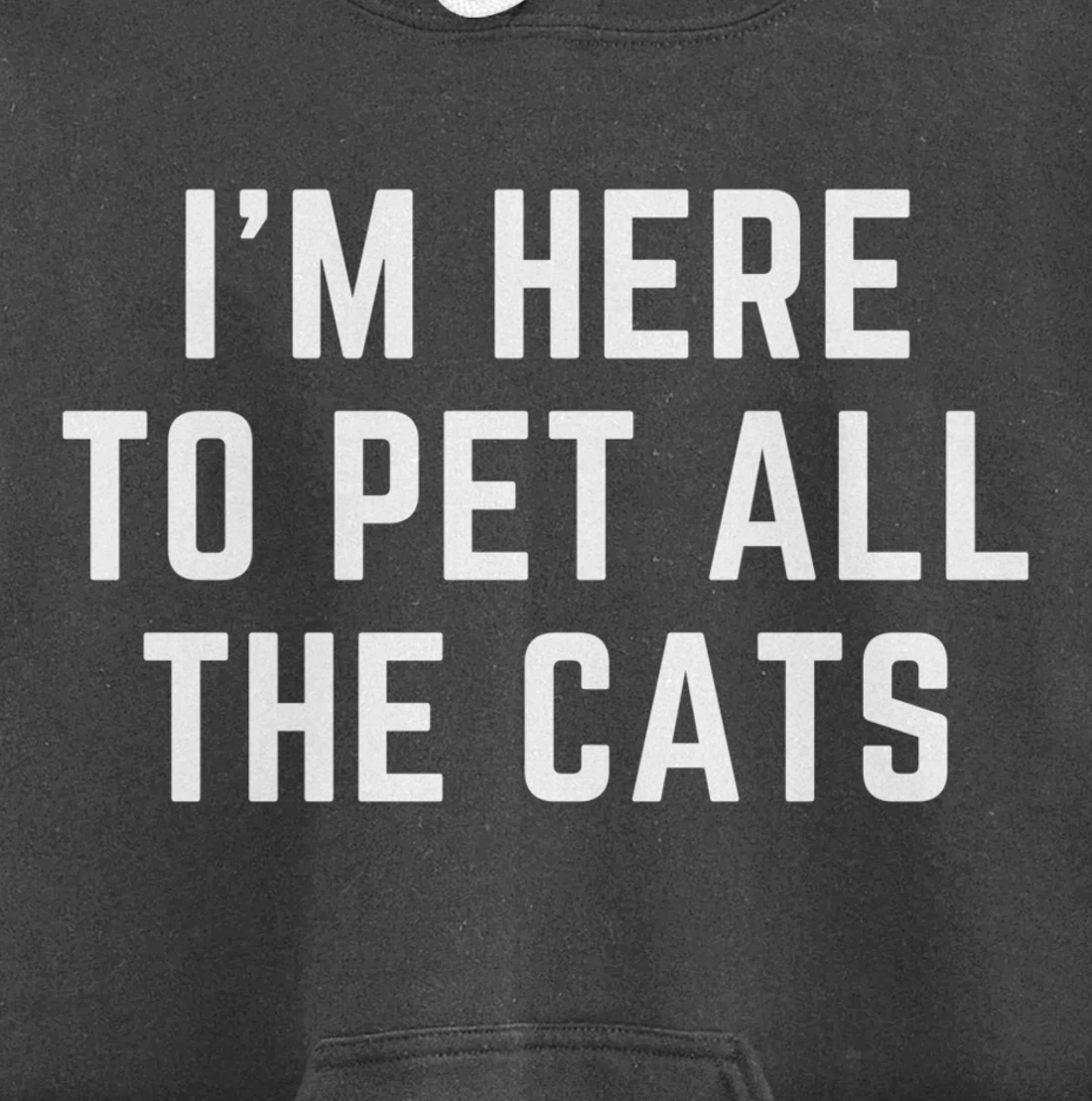 I'm Here to Pet All the Cats Pullover Hoodie