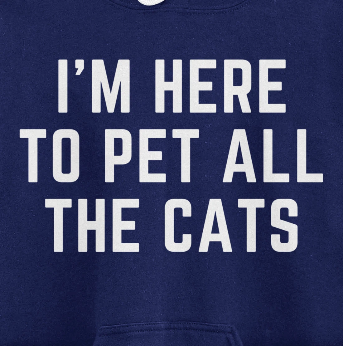 I'm Here to Pet All the Cats Pullover Hoodie