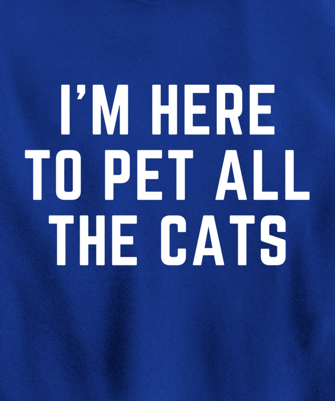 I'm Here to Pet All the Cats Pullover Hoodie