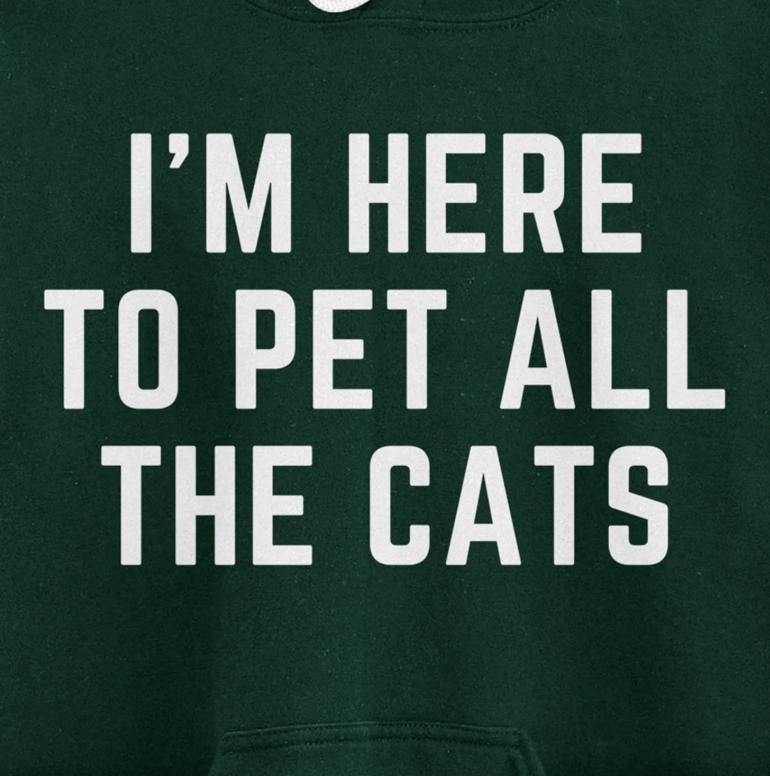 I'm Here to Pet All the Cats Pullover Hoodie
