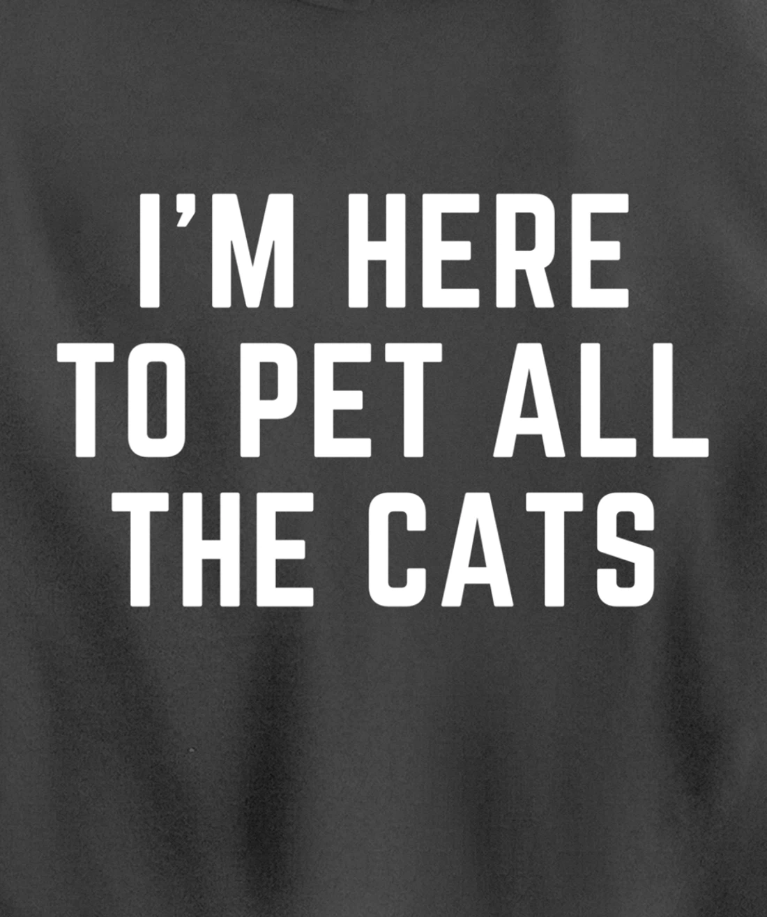 I'm Here to Pet All the Cats Pullover Hoodie