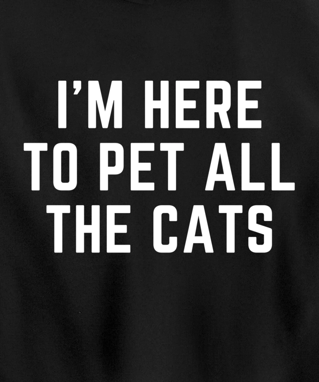 I'm Here to Pet All the Cats Pullover Hoodie