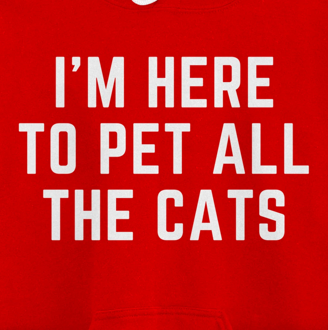 I'm Here to Pet All the Cats Pullover Hoodie