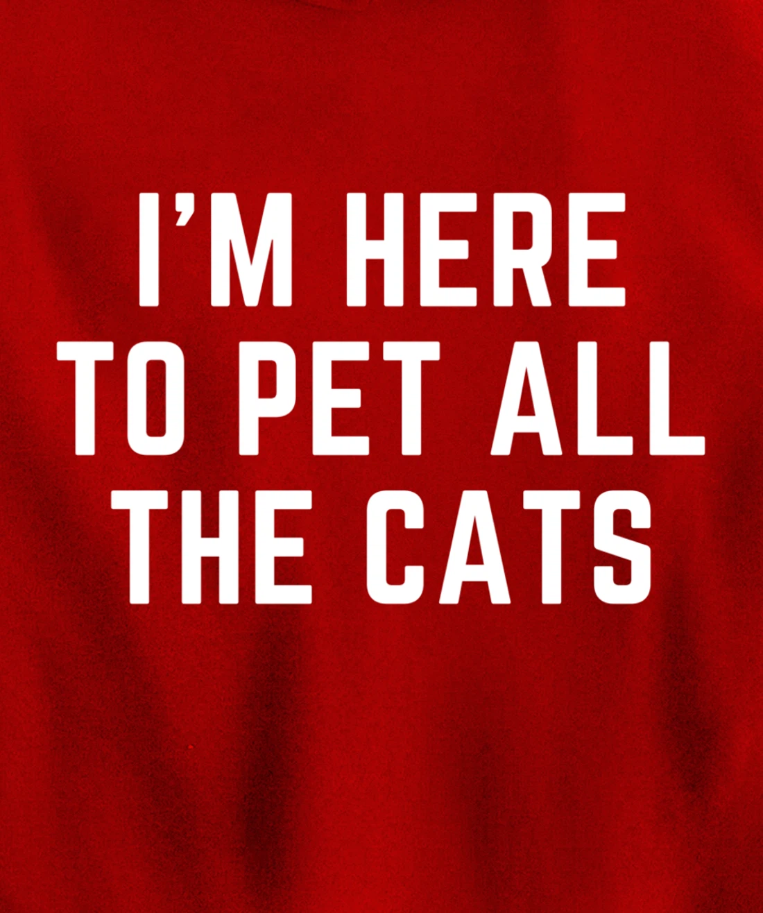 I'm Here to Pet All the Cats Pullover Hoodie