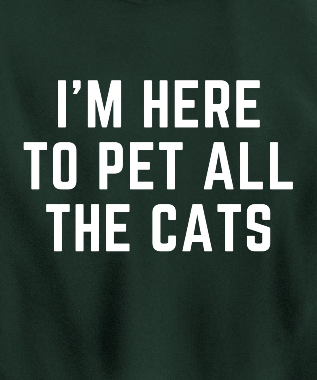 I'm Here to Pet All the Cats Pullover Hoodie