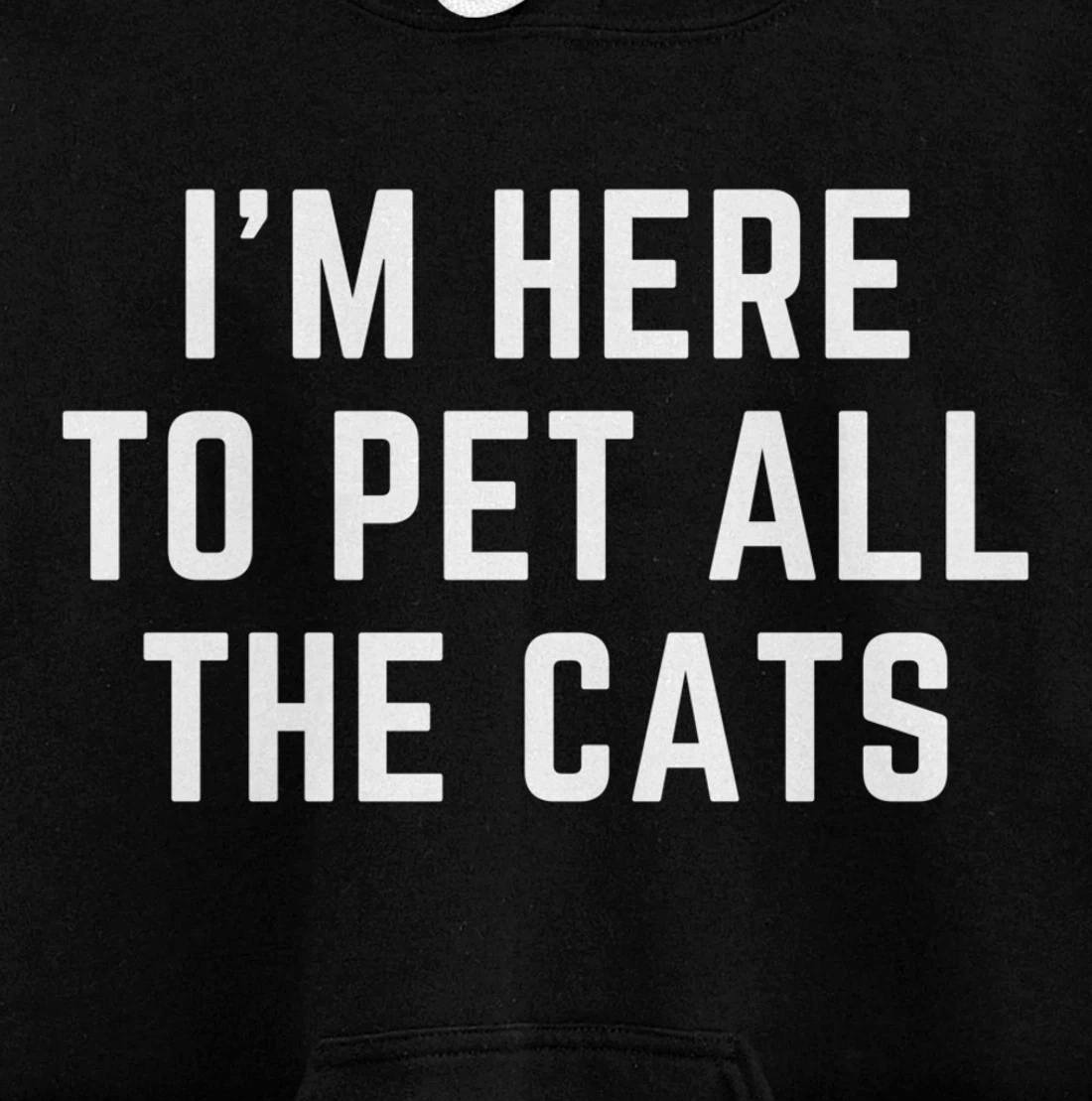I'm Here to Pet All the Cats Pullover Hoodie