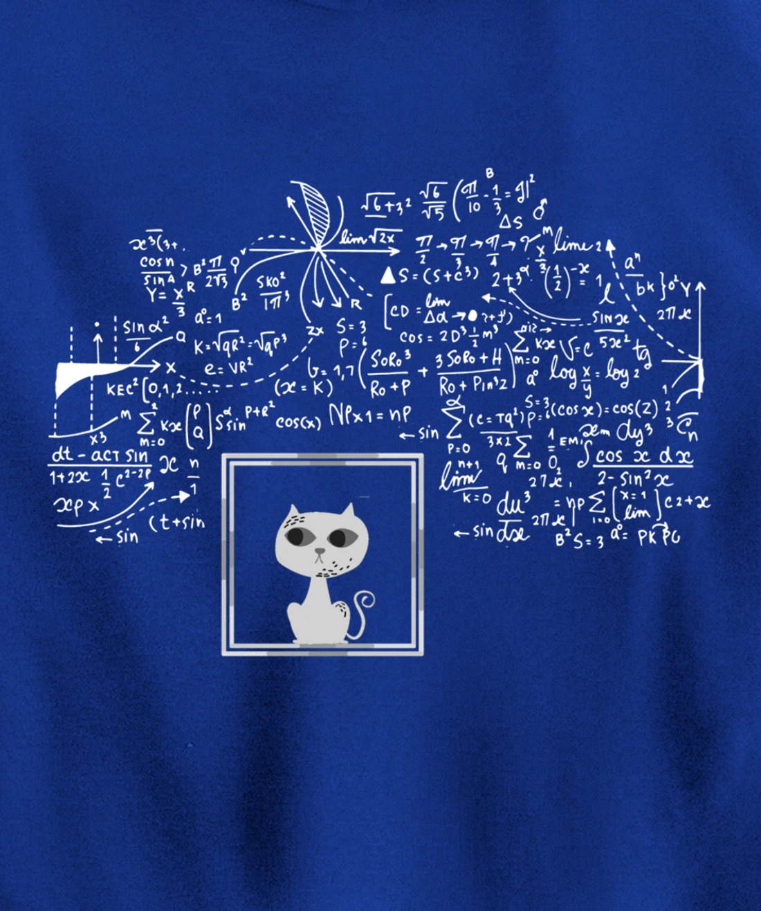 Schrodinger Cat in Box - Science Nerd Physics Pullover Hoodie