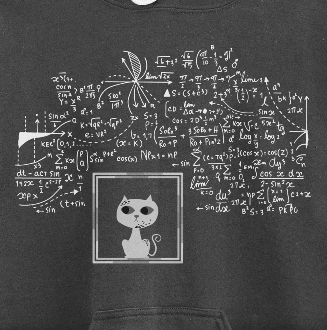 Schrodinger Cat in Box - Science Nerd Physics Pullover Hoodie