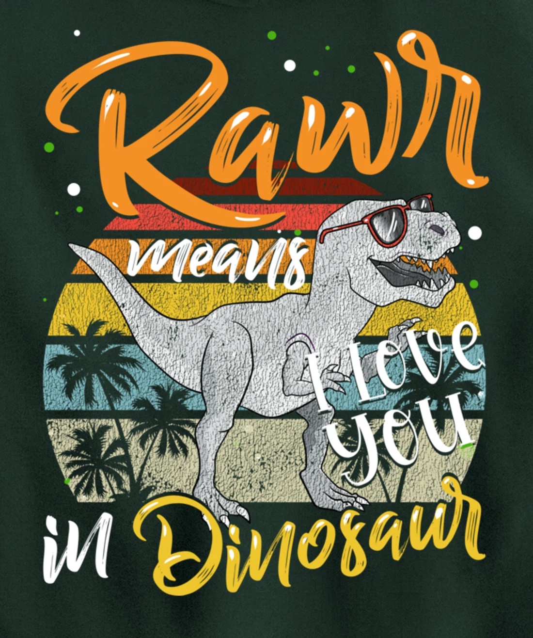 Rawr Means I Love You In Dinosaur Heart Retro Valentines Day Pullover Hoodie