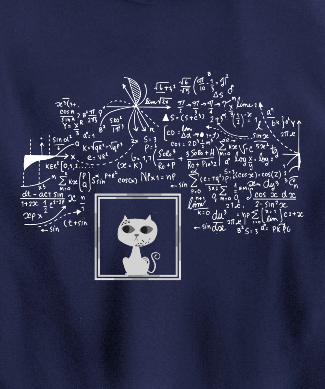 Schrodinger Cat in Box - Science Nerd Physics Pullover Hoodie