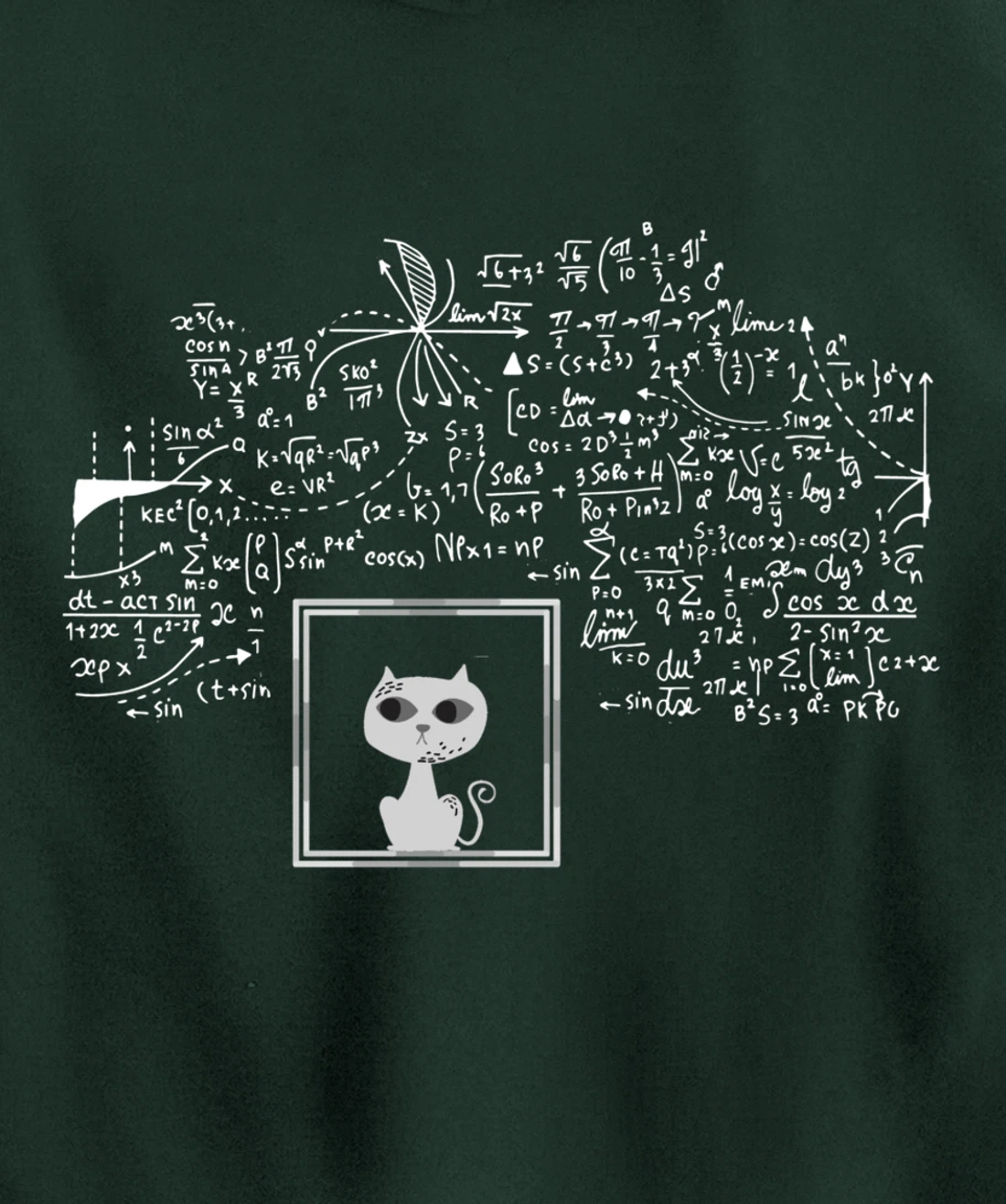 Schrodinger Cat in Box - Science Nerd Physics Pullover Hoodie