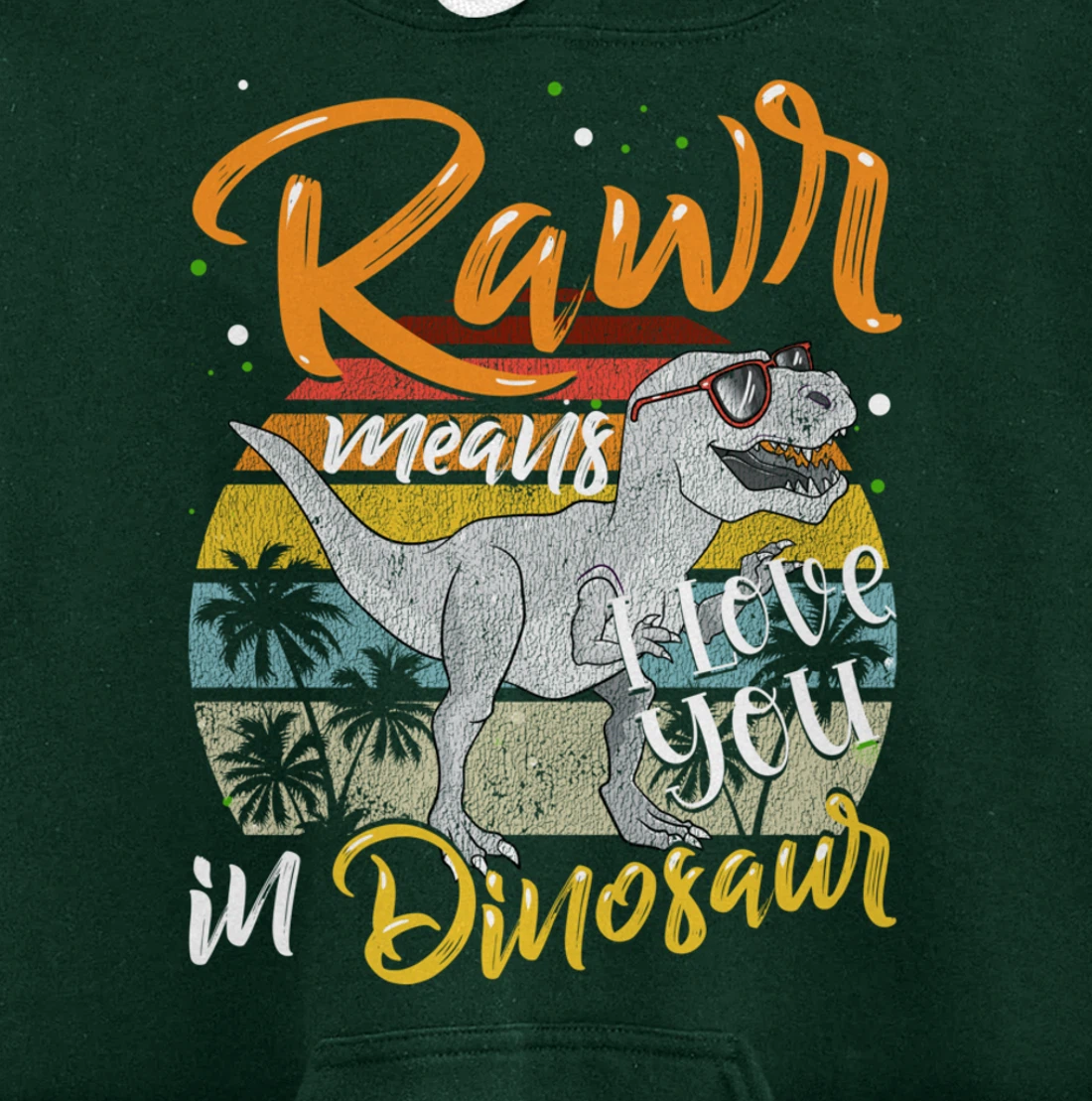 Rawr Means I Love You In Dinosaur Heart Retro Valentines Day Pullover Hoodie