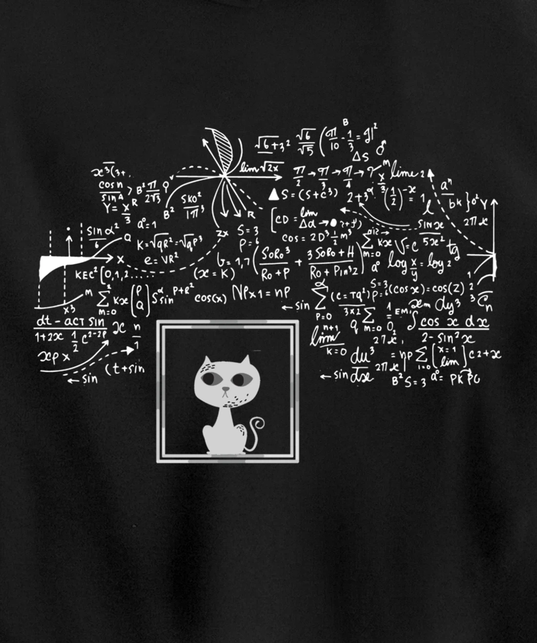 Schrodinger Cat in Box - Science Nerd Physics Pullover Hoodie