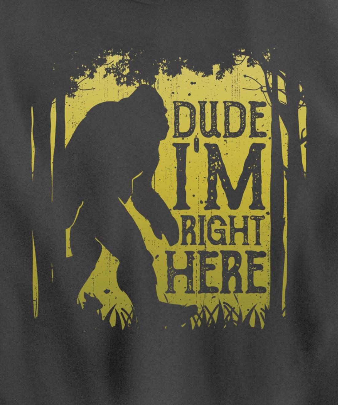 Bigfoot Dude I'm Right Here Funny Sasquatch Retro Vintage Pullover Hoodie