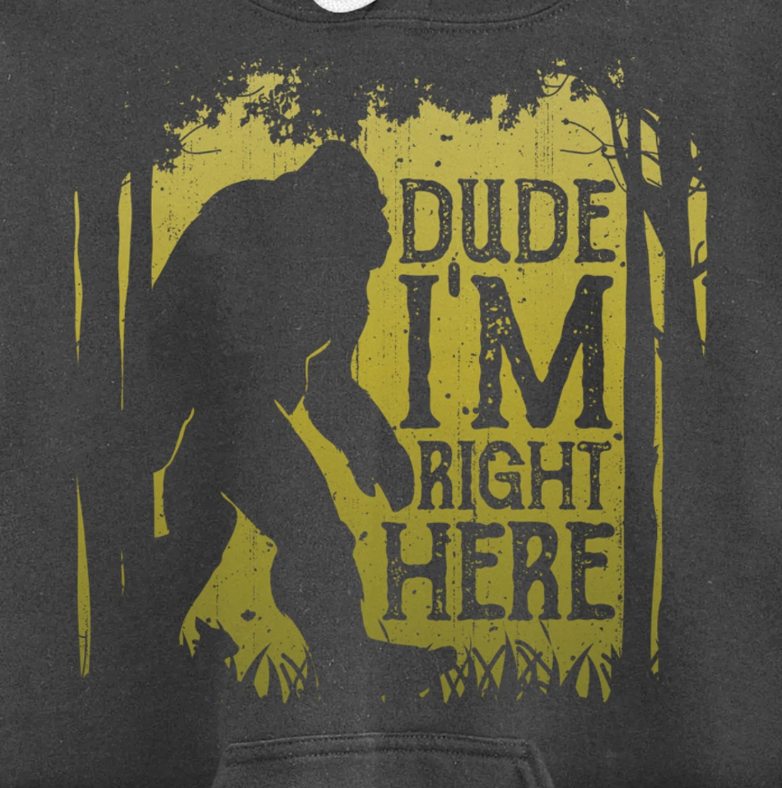 Bigfoot Dude I'm Right Here Funny Sasquatch Retro Vintage Pullover Hoodie