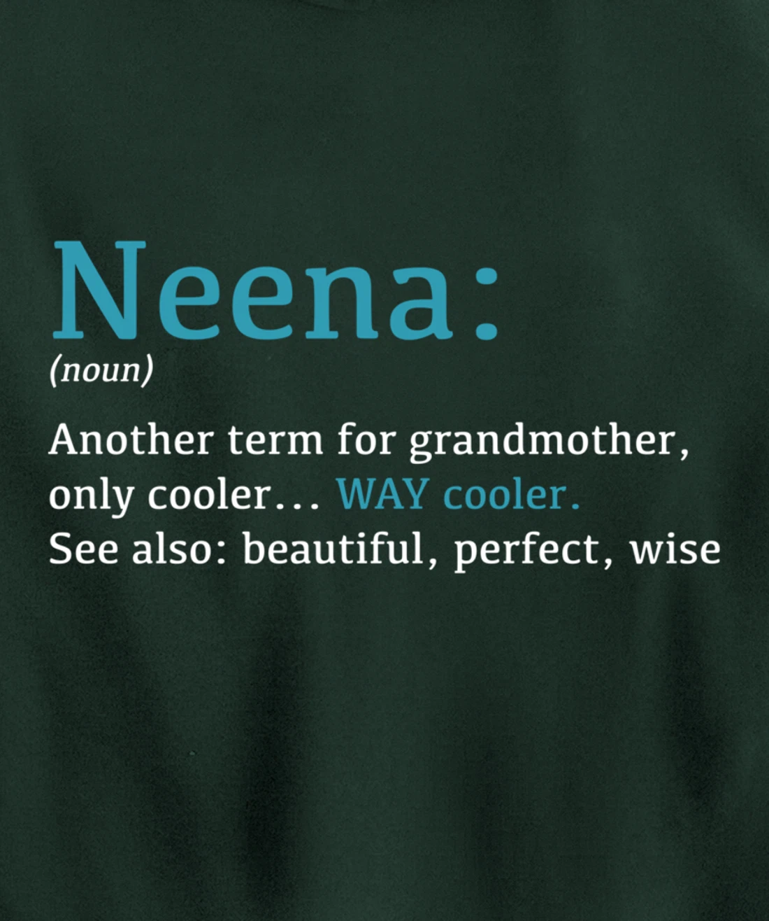 Neena: Funny Definition Noun - Another Term Pullover Hoodie